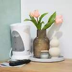 Magnolia אכסניה *