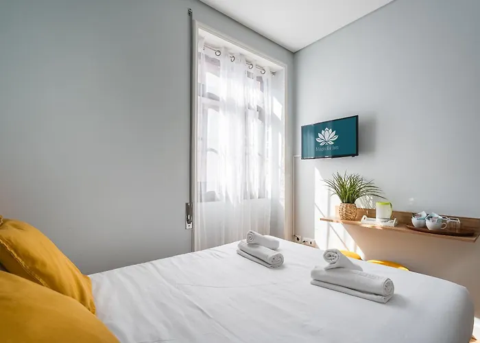 Auberge de jeunesse Magnolia Aveiro