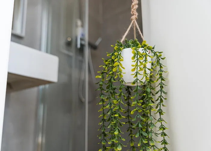 Magnolia Auberge de jeunesse Aveiro