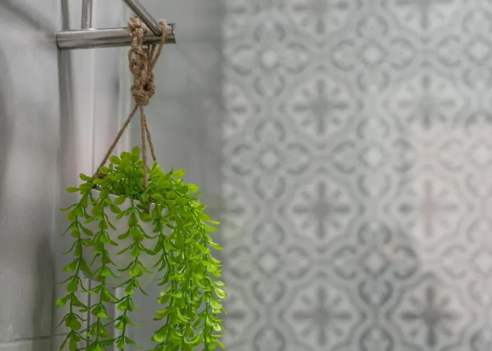 Magnolia Auberge de jeunesse Aveiro