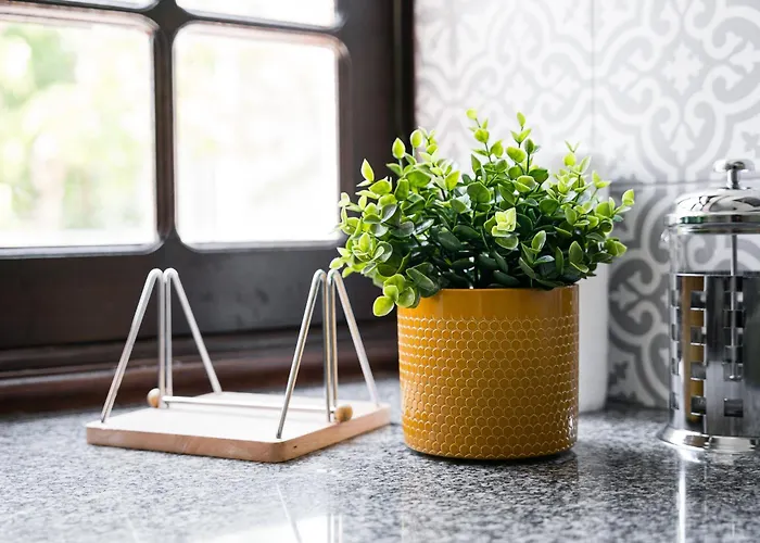 Auberge de jeunesse Magnolia Aveiro