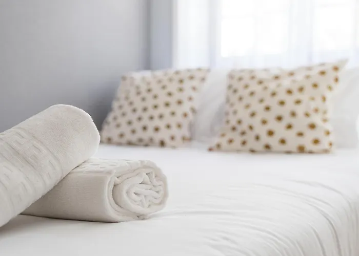 Auberge de jeunesse Magnolia Aveiro