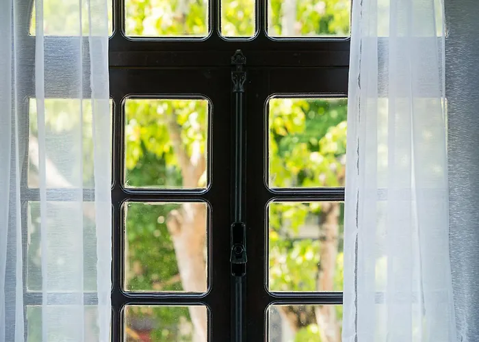 Magnolia Auberge de jeunesse *